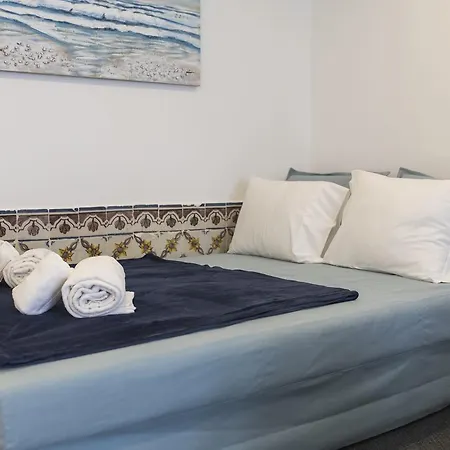 Traditional Duplex With Terrace In Principe Real Appartement *